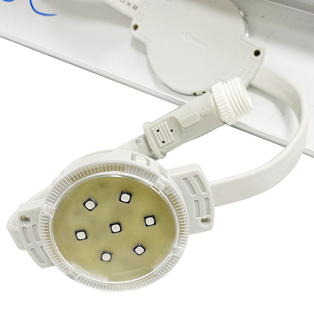 JDB电子·(中国区)试玩平台-JDB电子游戏官网